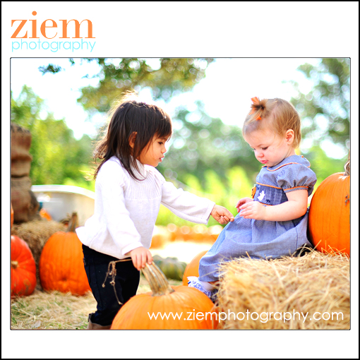 austin photographers | austin newborn photographer | family children | pumpkin patch photo tips