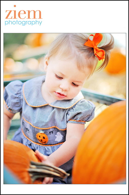 austin photographers | austin newborn photographer | family children | pumpkin patch photo tips