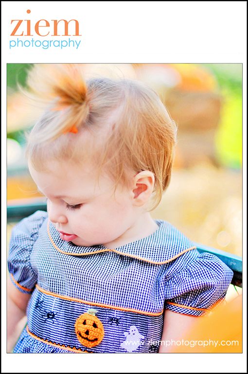 austin photographers | austin newborn photographer | family children | pumpkin patch photo tips