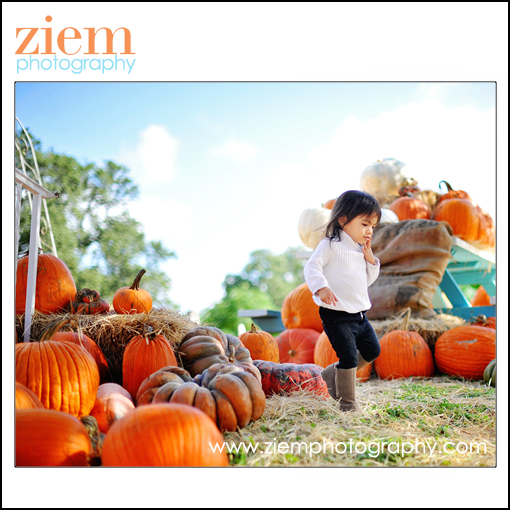 austin photographers | austin newborn photographer | family children | pumpkin patch photo tips