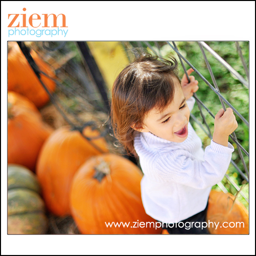 austin photographers | austin newborn photographer | family children | pumpkin patch photo tips