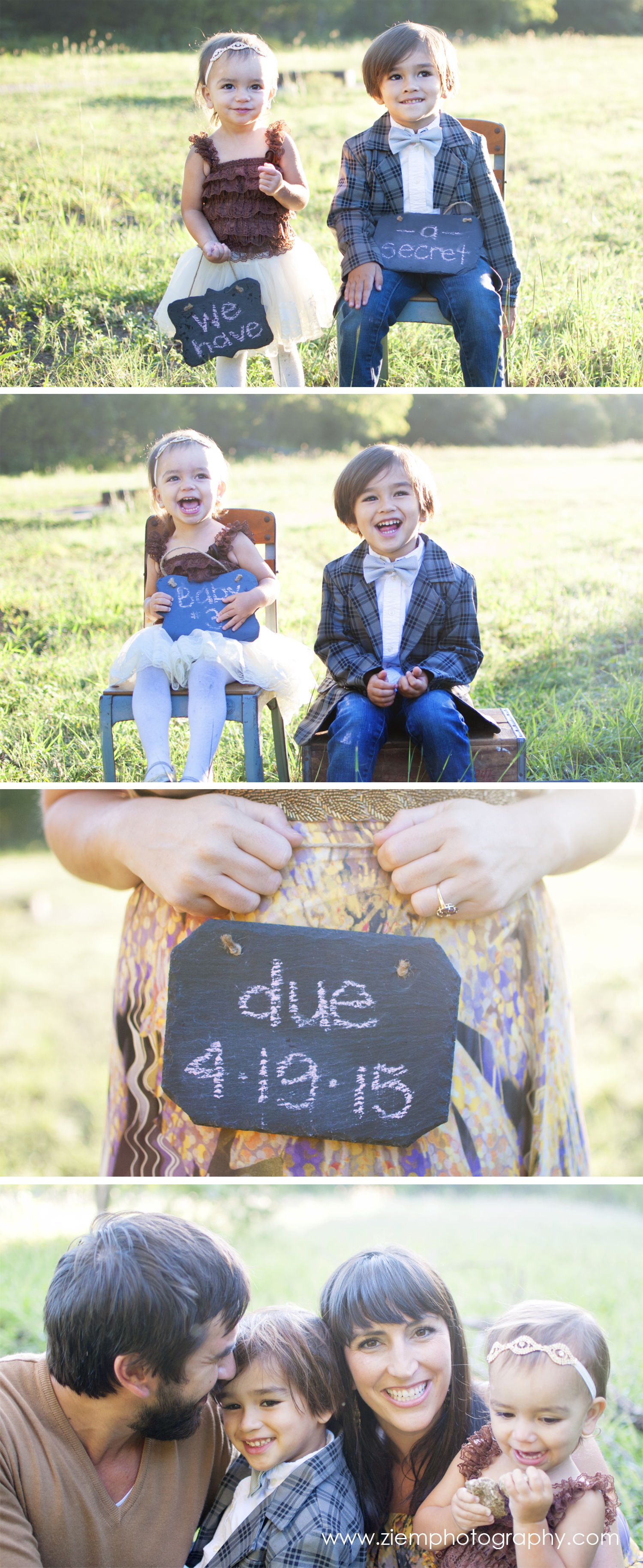 pregnancy announcement gender reveal austin family photographer