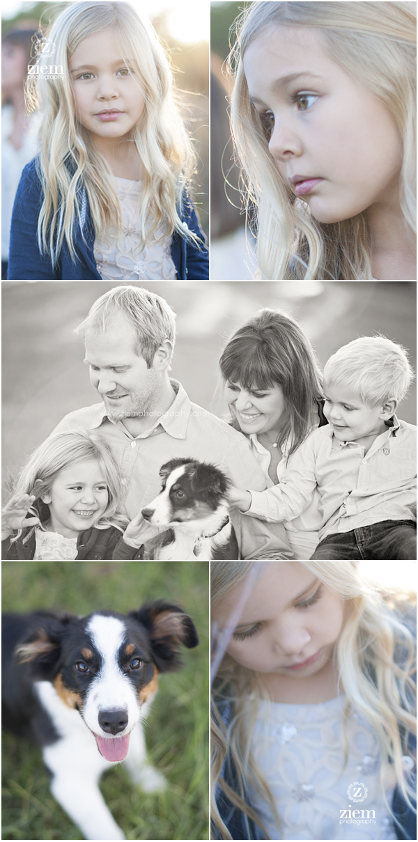 austin family photographers in austin ziem photography