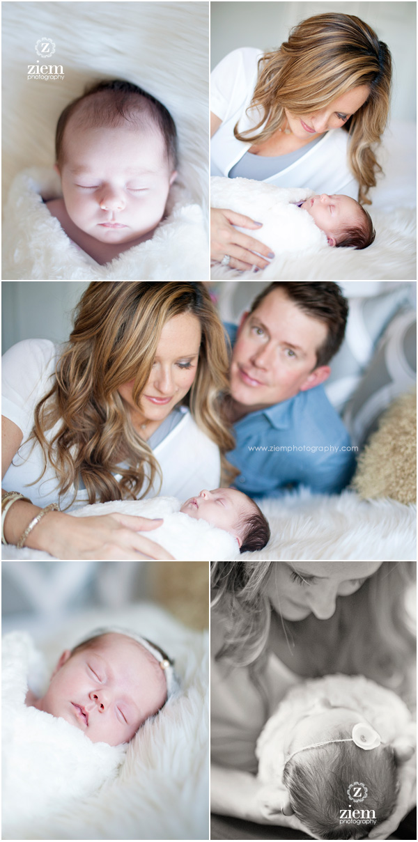 austin newborn photographer ziem photography