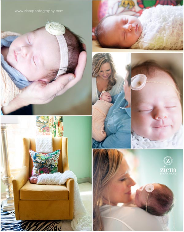 austin newborn photographer ziem photography