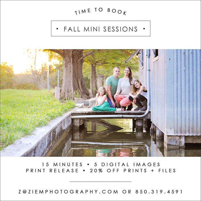 Austin family photographeraustin fall mini sessions austin photographers ziem photography