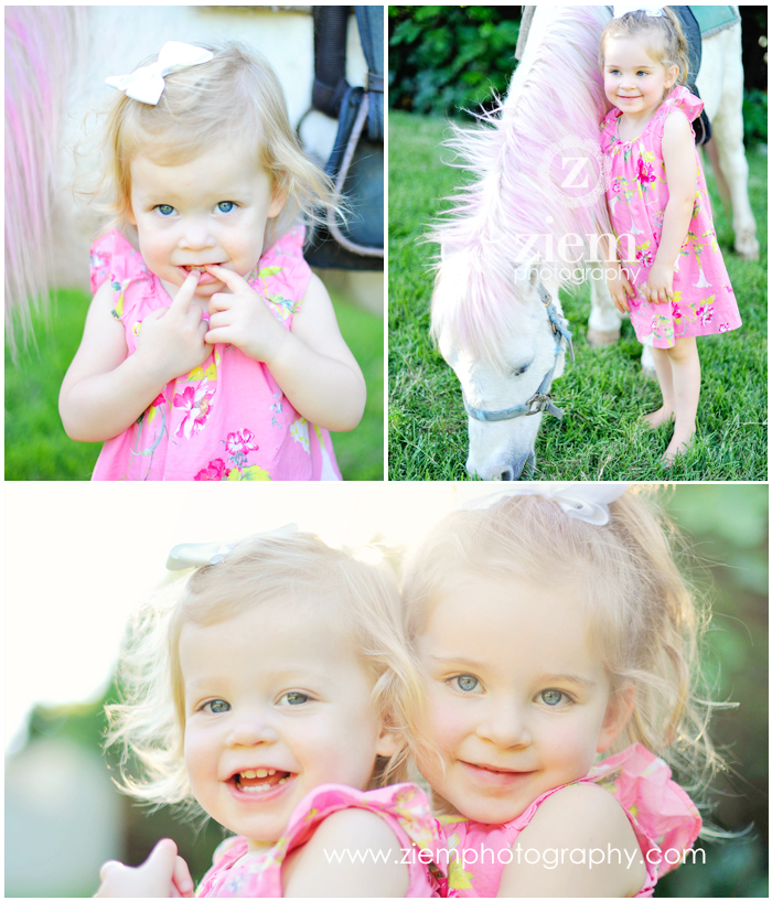 austin family photography equestrian lifestyle photography horses austin ziem photography