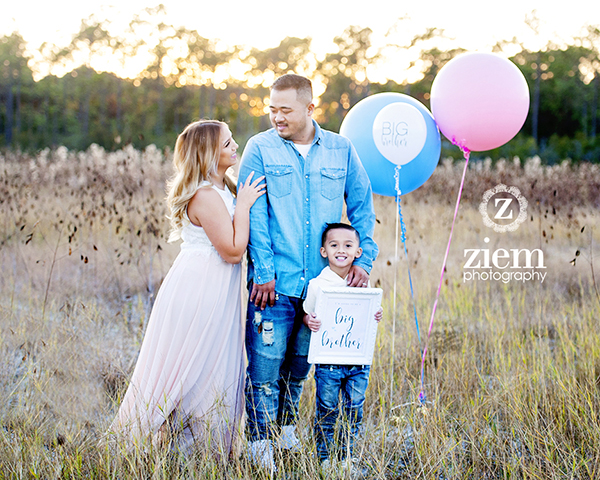 austin family maternity child newborn photographers ziem photography