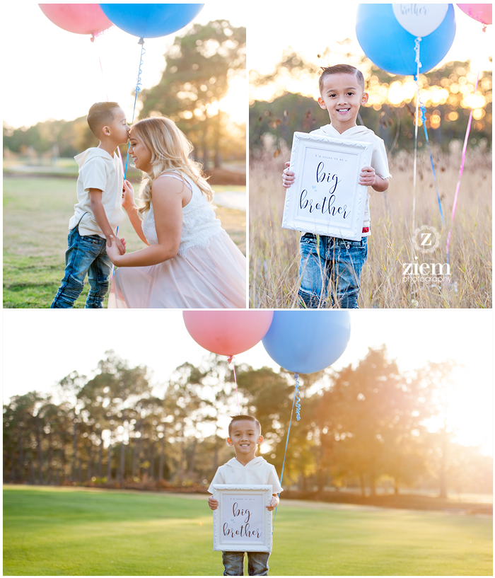 austin family maternity child newborn photographers ziem photography