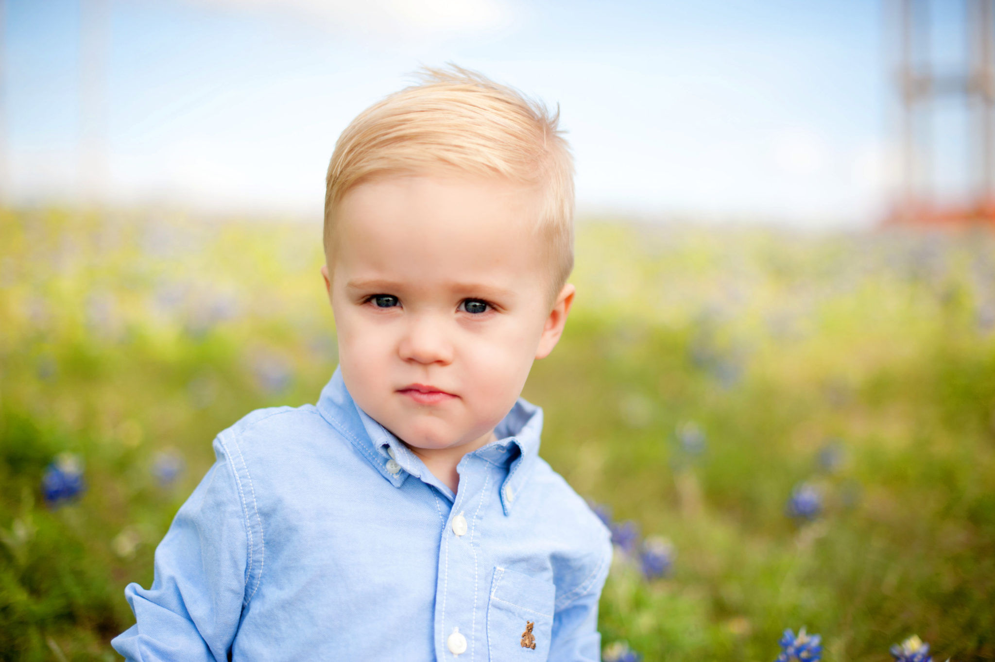 Austin Bluebonnet Photography Austin Newborn Family Photographers Ziem Photography