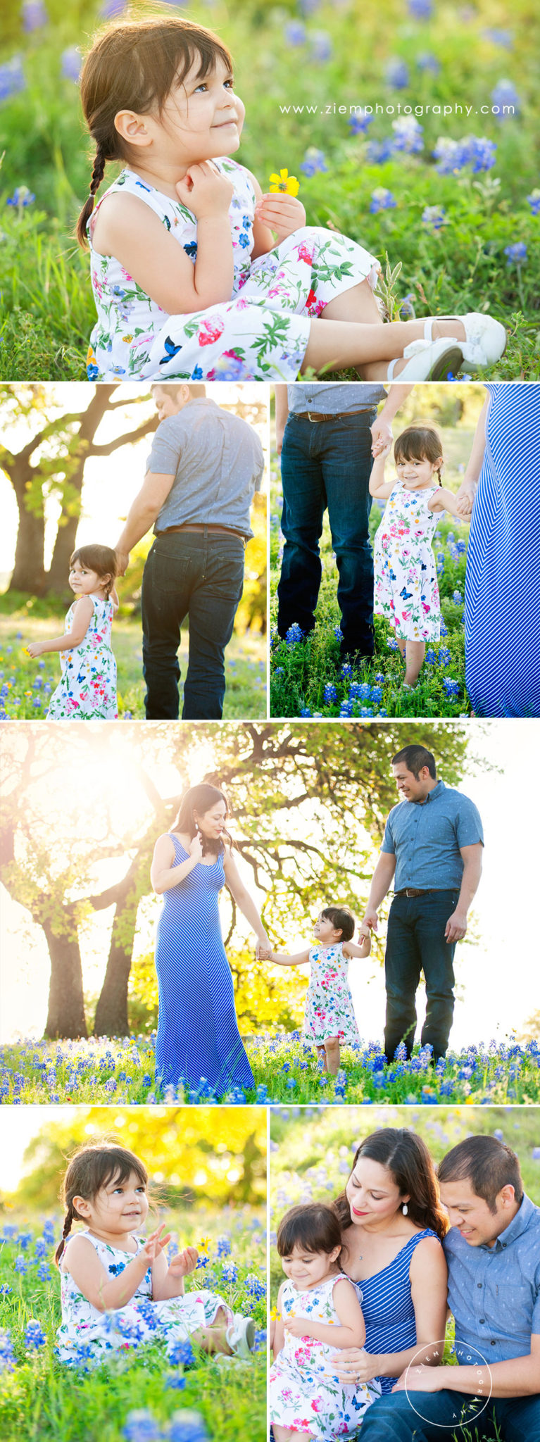 austin maternity photographers ziem photography