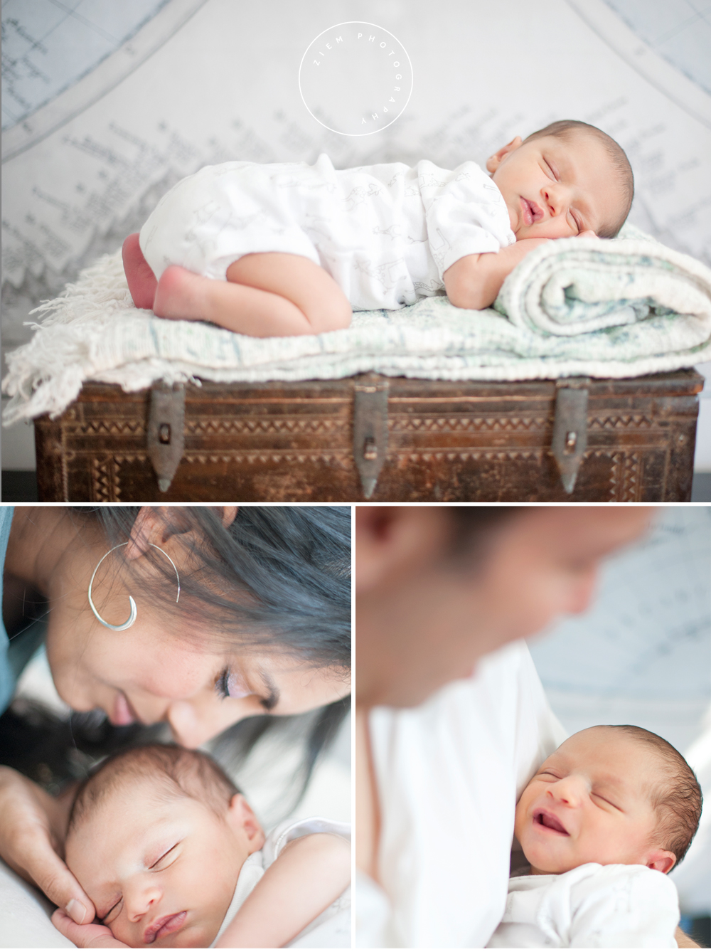 austin newborn photography shaw ziem photography