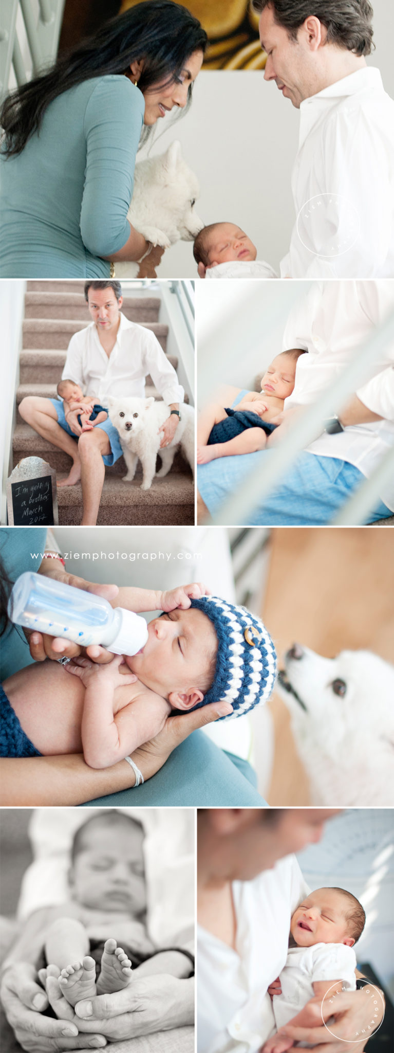 austin newborn photography shaw ziem photography