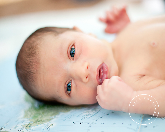 austin newborn photography shaw ziem photography