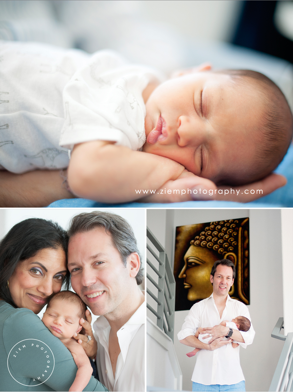 austin newborn photography shaw ziem photography