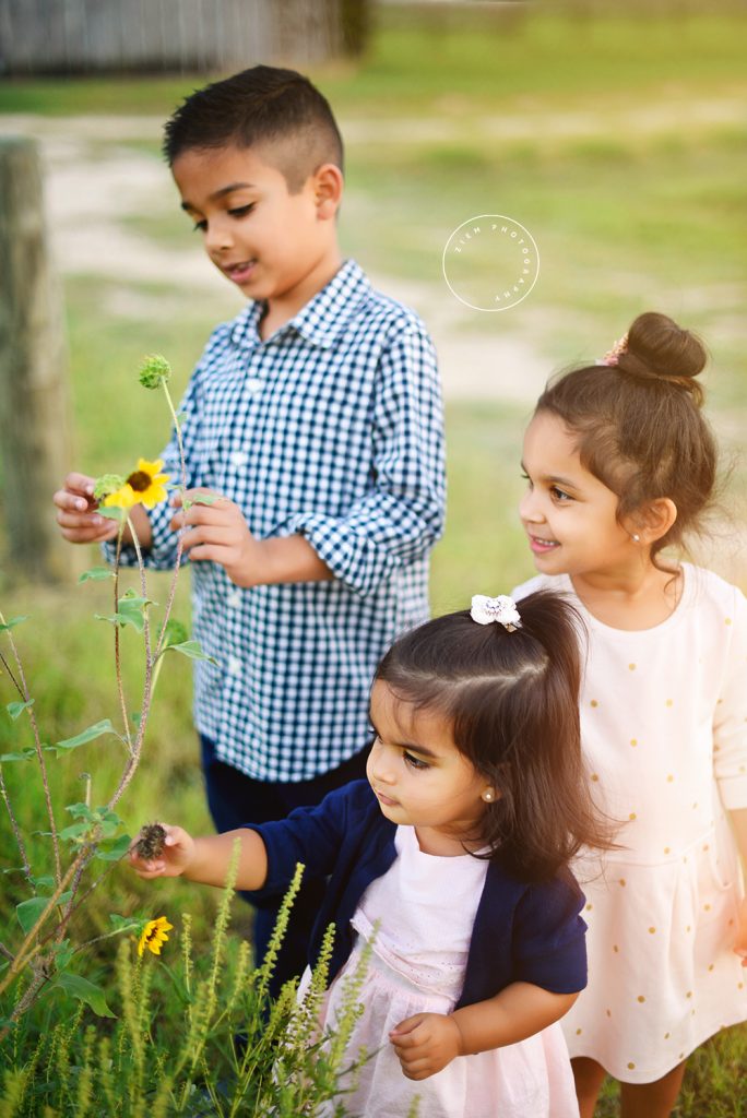 Austin Mini Session Weekend One Recap austin lifestyle family newborn photographers ziem photography