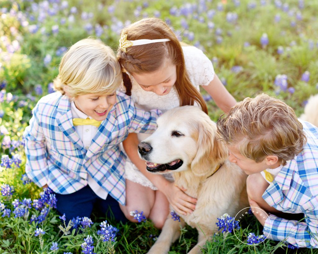 Austin Bluebonnet Photography mini sessions mawdsley