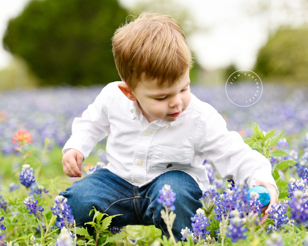 Austin Bluebonnet Photography Mini Sessions Ziem Photography